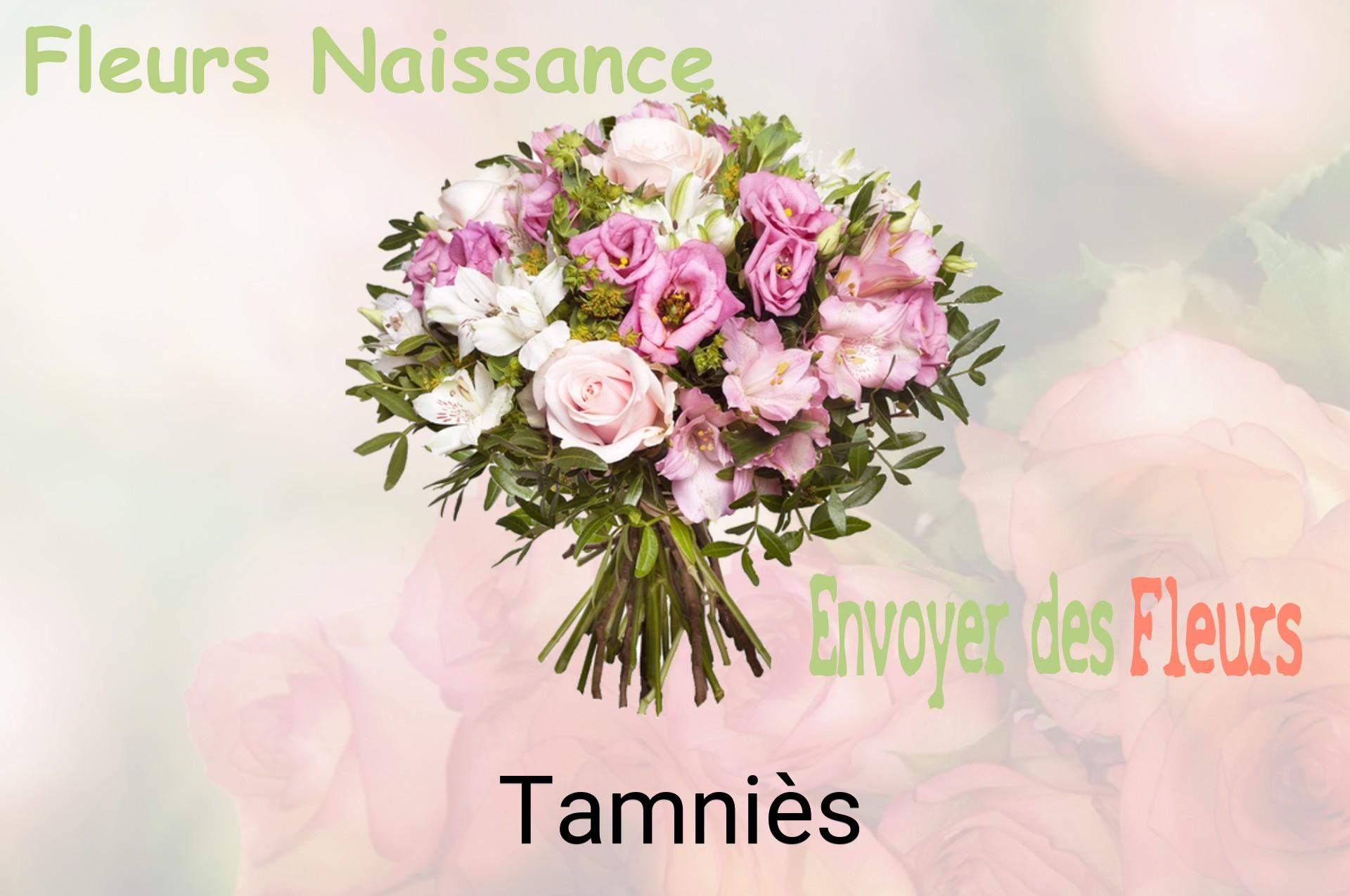 Bouquet de fleurs de naissance livré à Tamniès